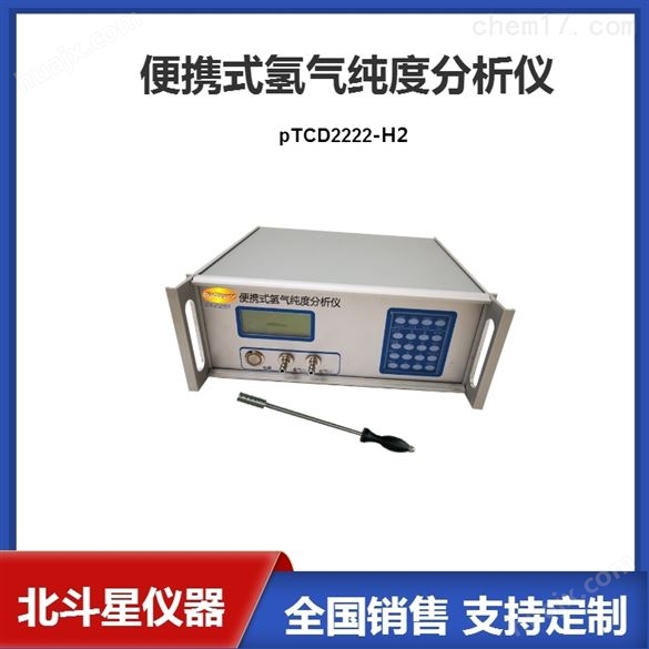 pTCD2222氢气纯度分析仪批发