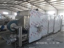 姜片隧道式烘干设备 大型连续烘干机