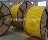 天津市电缆总厂橡塑电缆厂*银顺牌MCP矿用橡套电缆