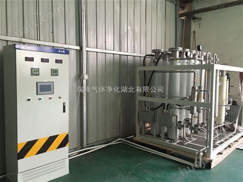 瑞泽10-60Nm3/h氨气净化干燥设备