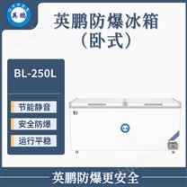 郑州电气柜250L立式防爆冰箱