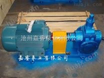 江苏南京YCB1.6-0.6圆弧泵防腐泵304材质嘉睿泵业